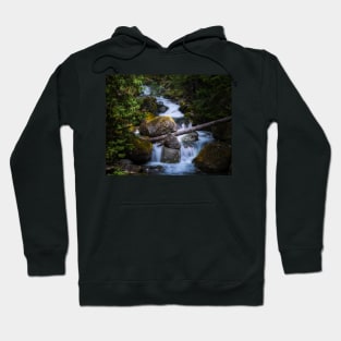 Forest Stream Hoodie